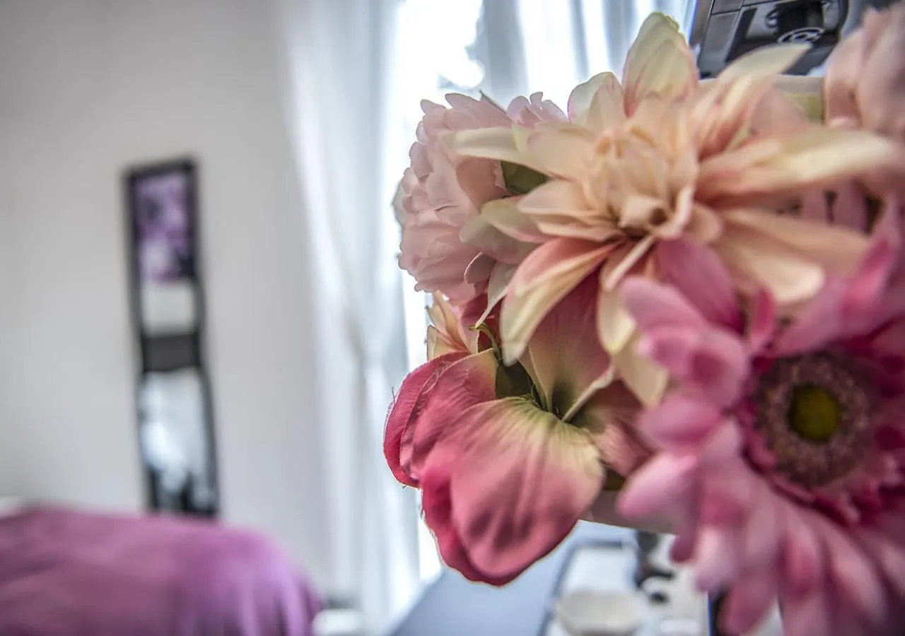 Le Stanze Dei Fiori Hotel Bologna 0*,  Italien